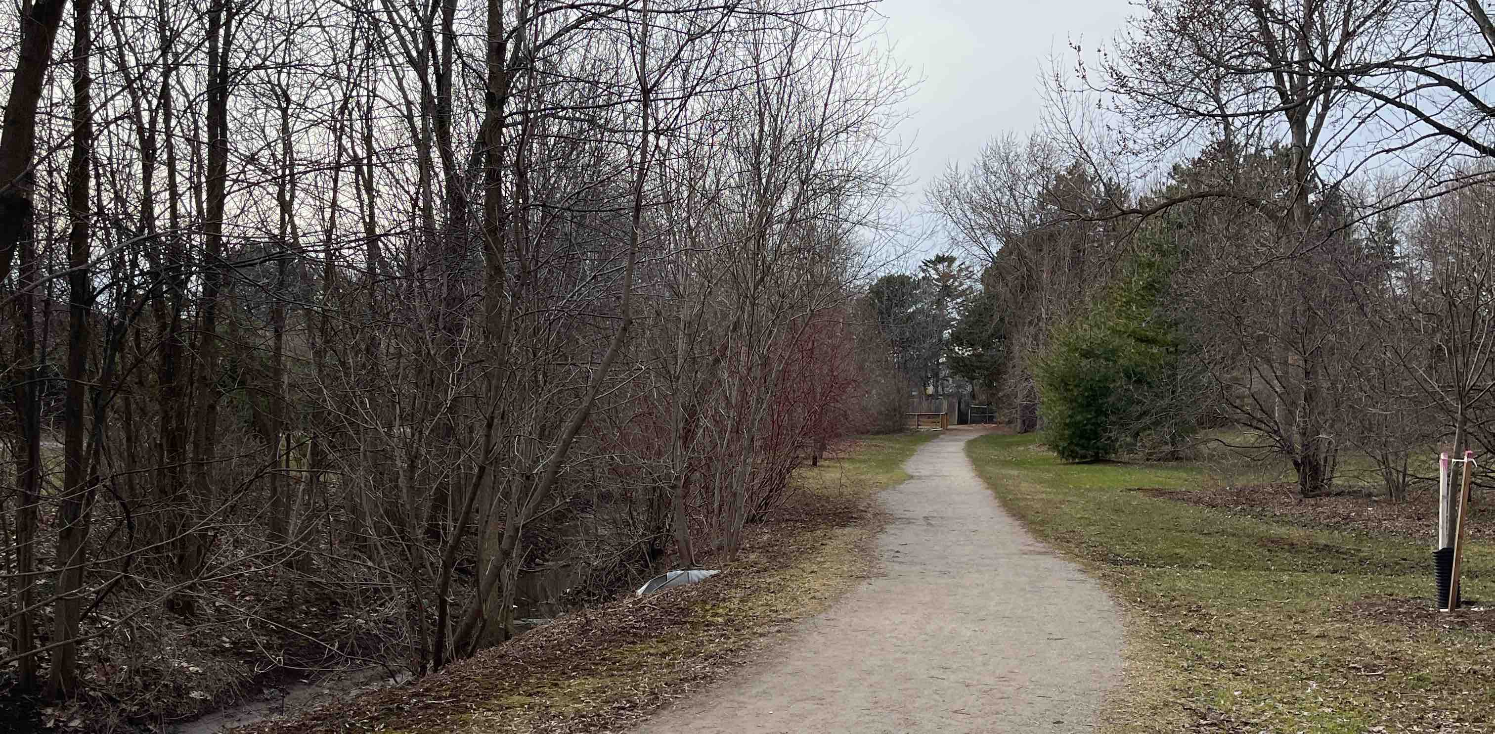 challenge background