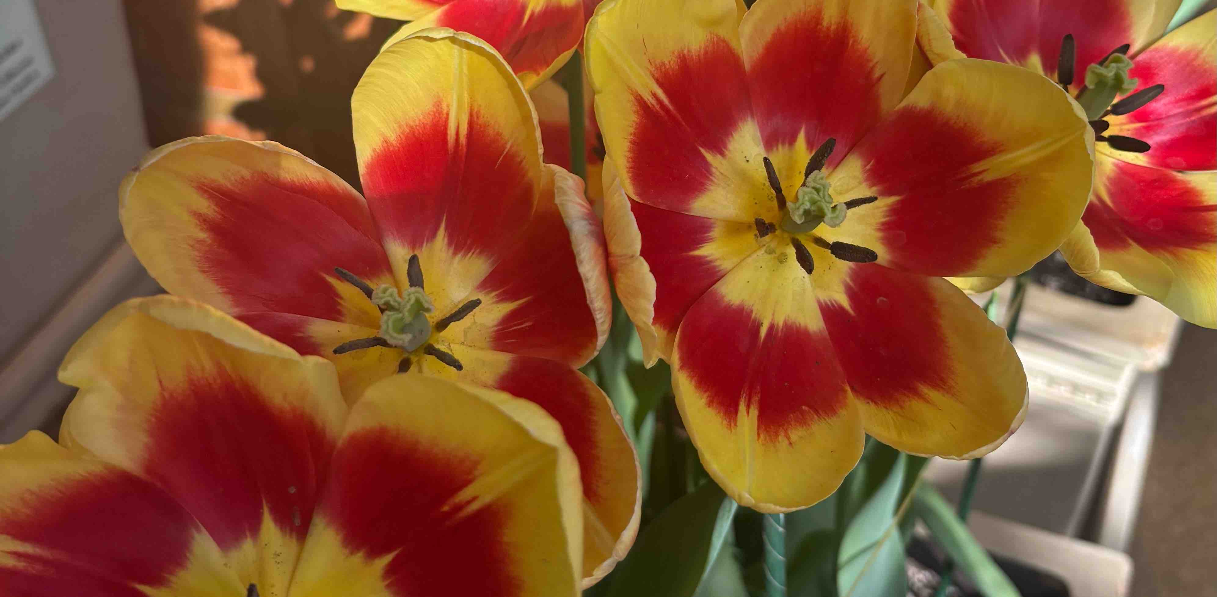 challenge background