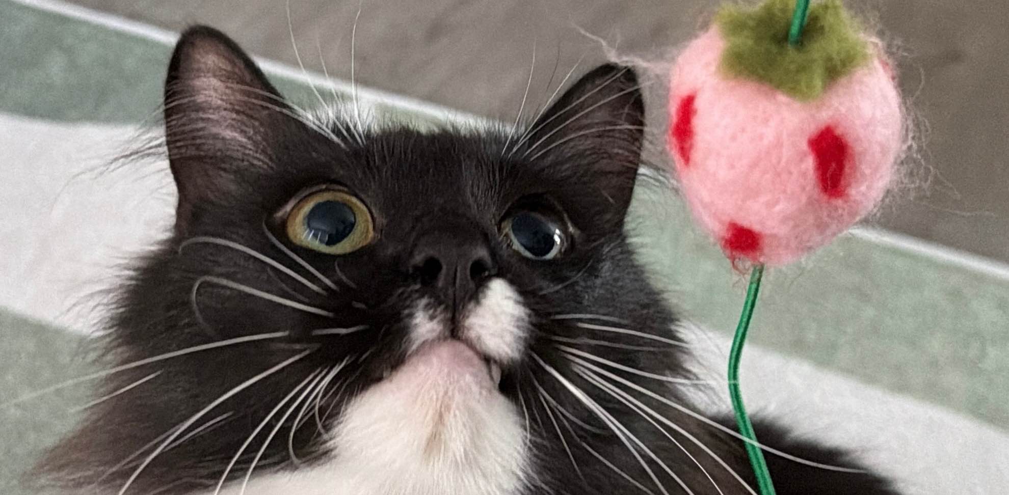 challenge background