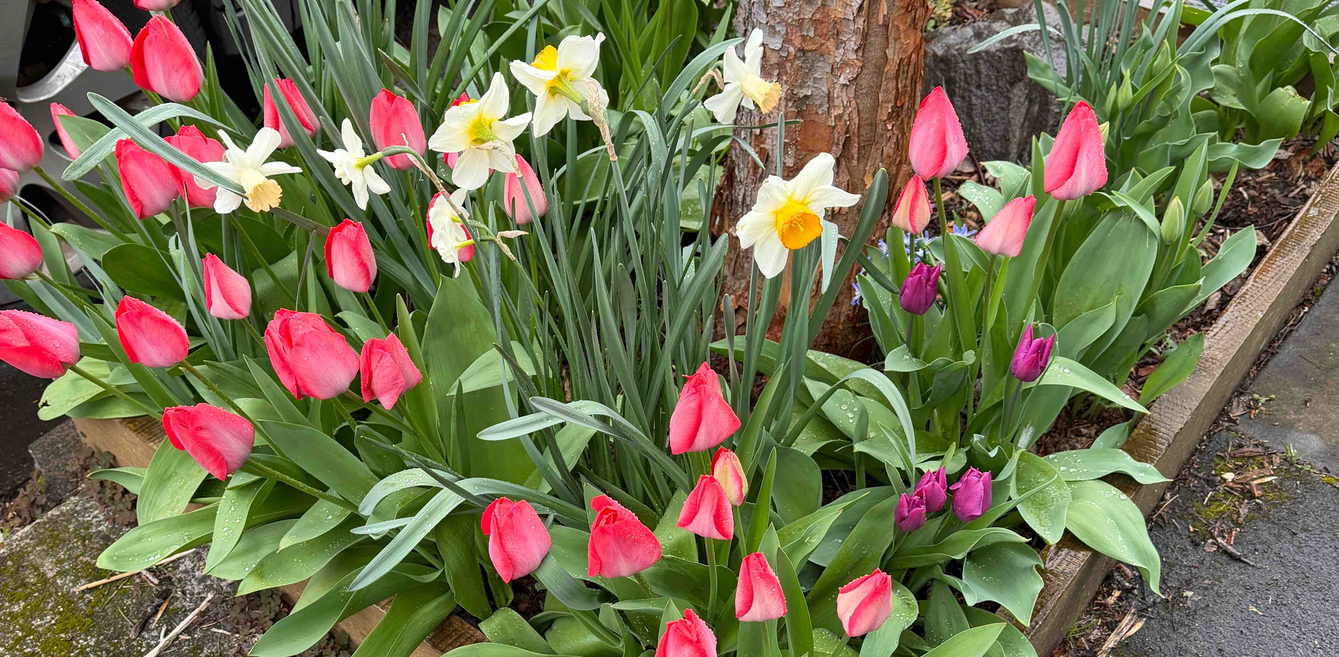 challenge background