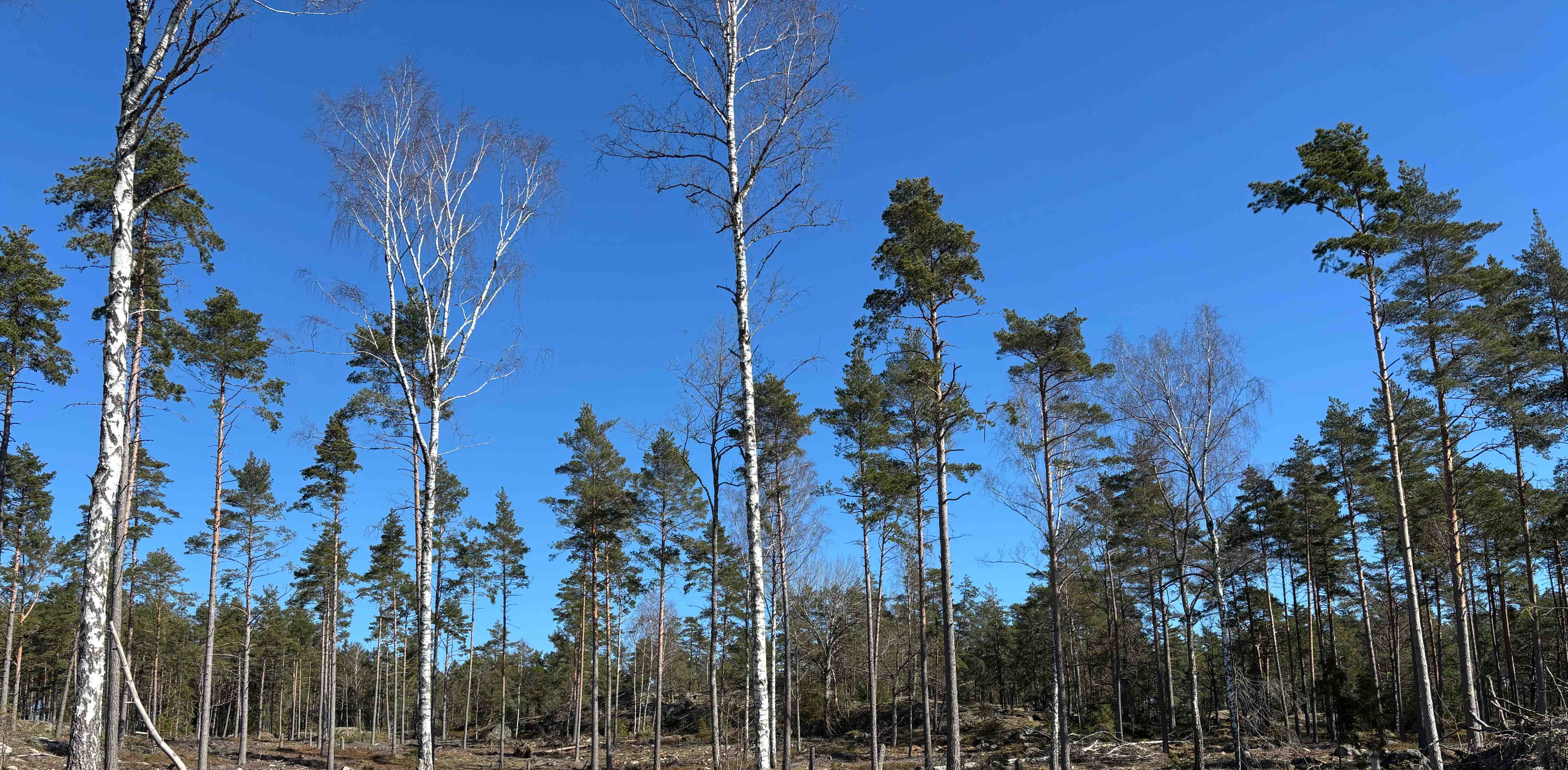 challenge background