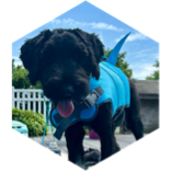 challenge badge