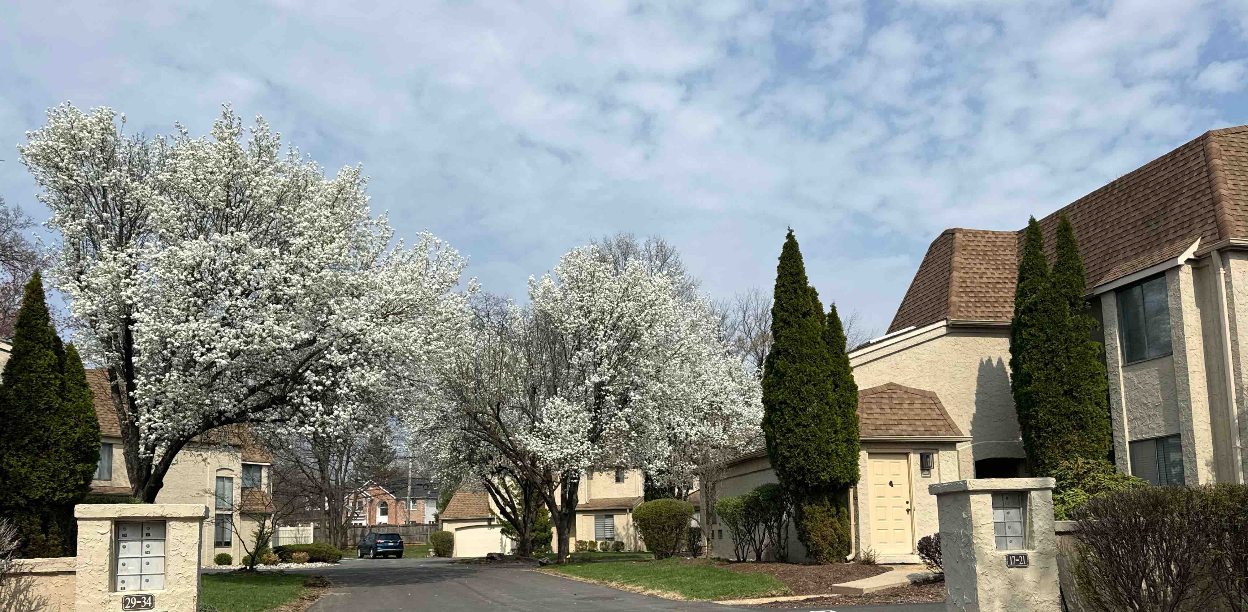 challenge background