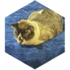challenge badge