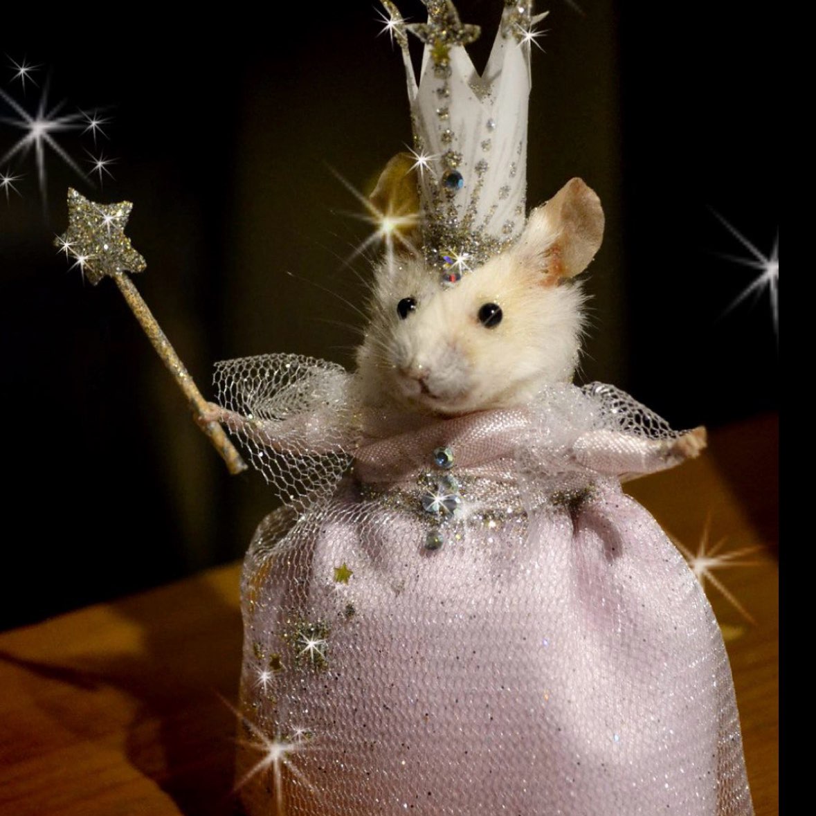 Girls only 💖 logo