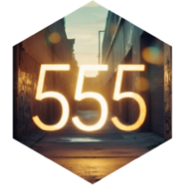 The 555 Most Steps Challenge icon