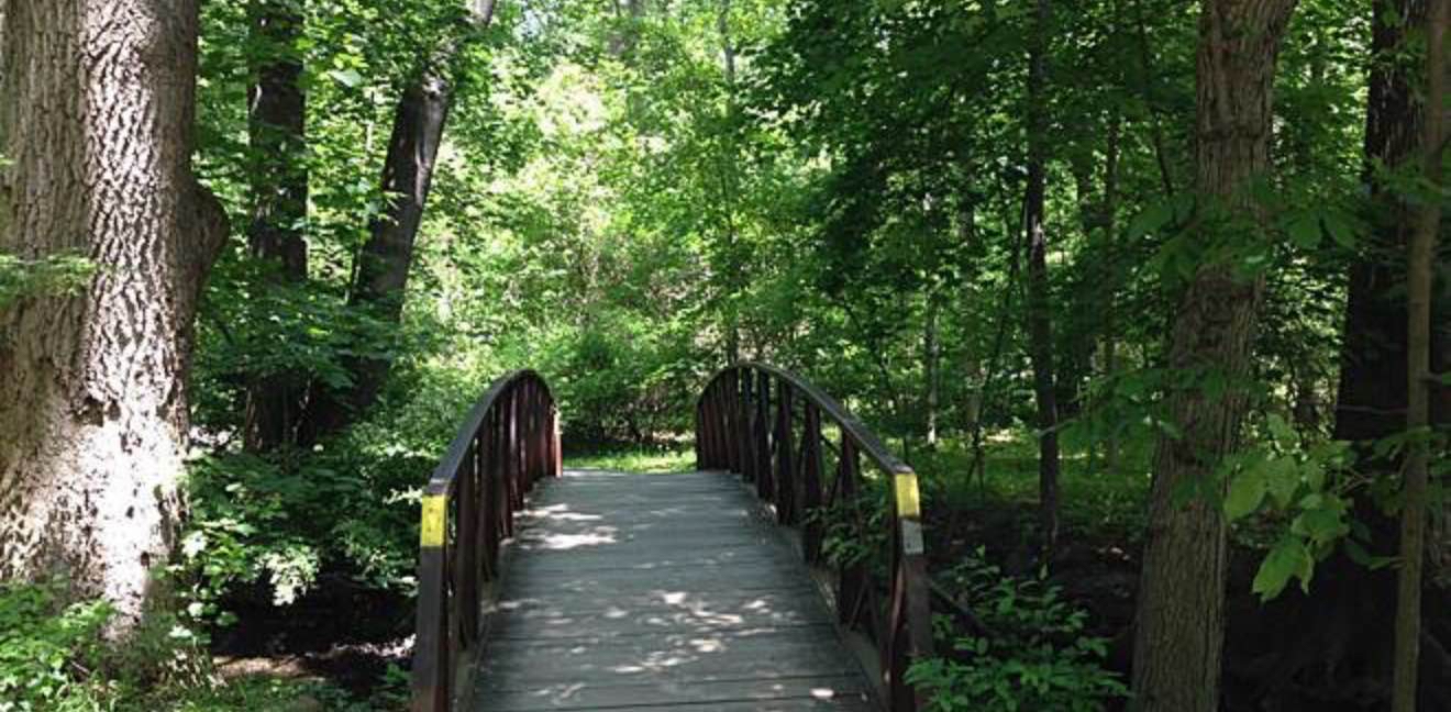 challenge background