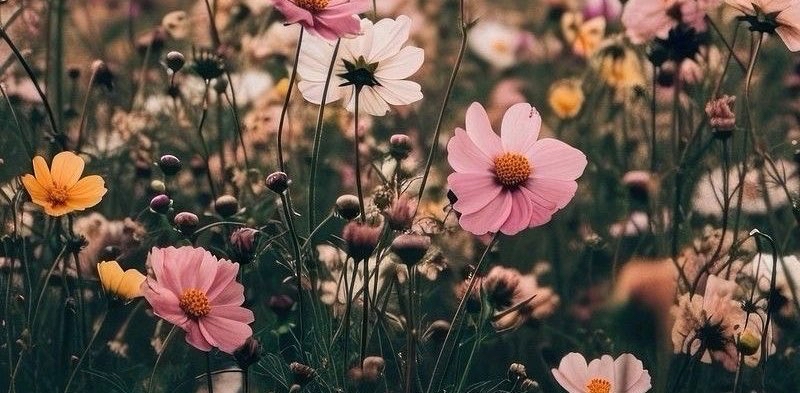 challenge background