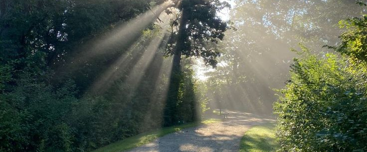 challenge background