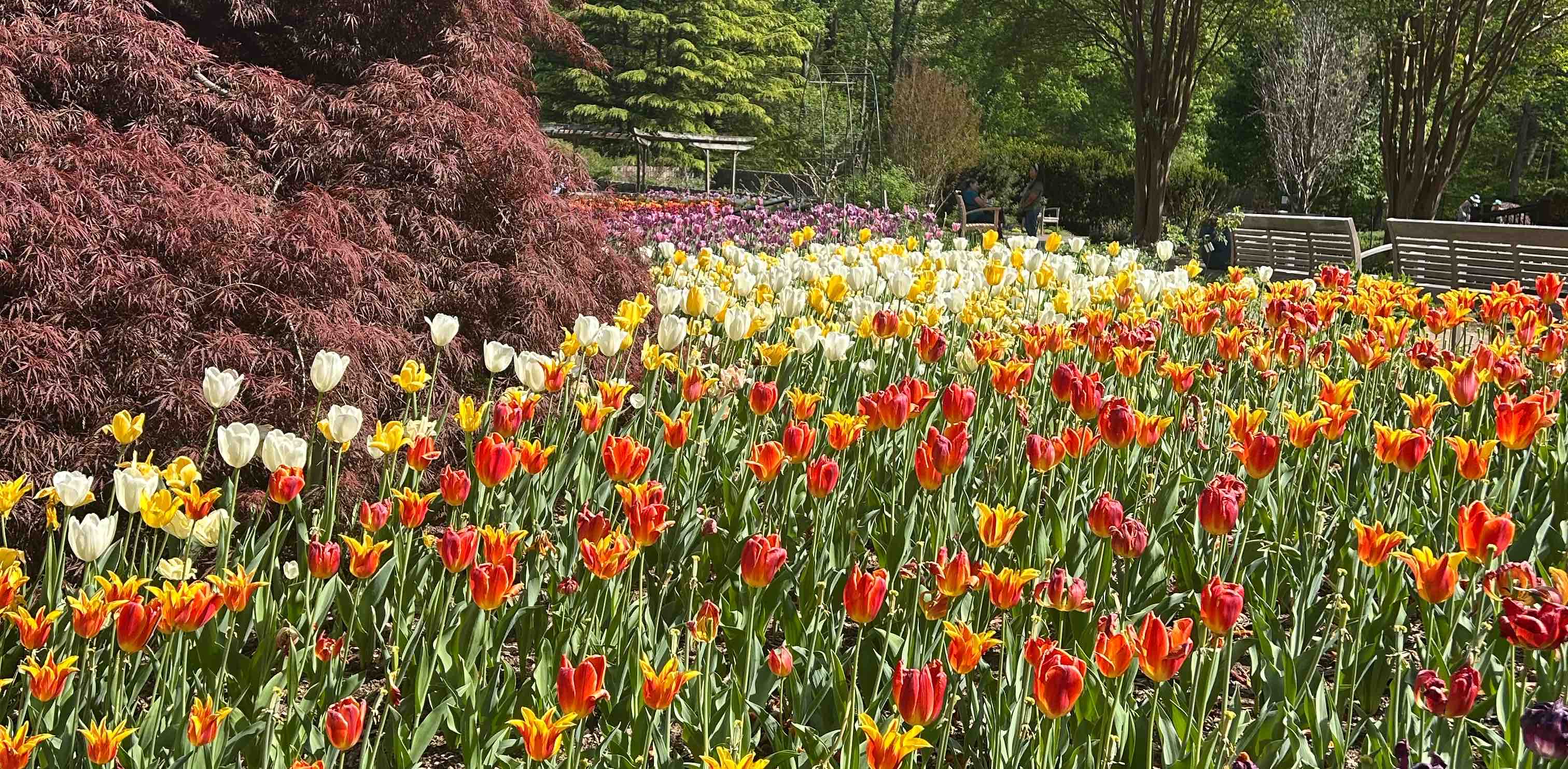 challenge background