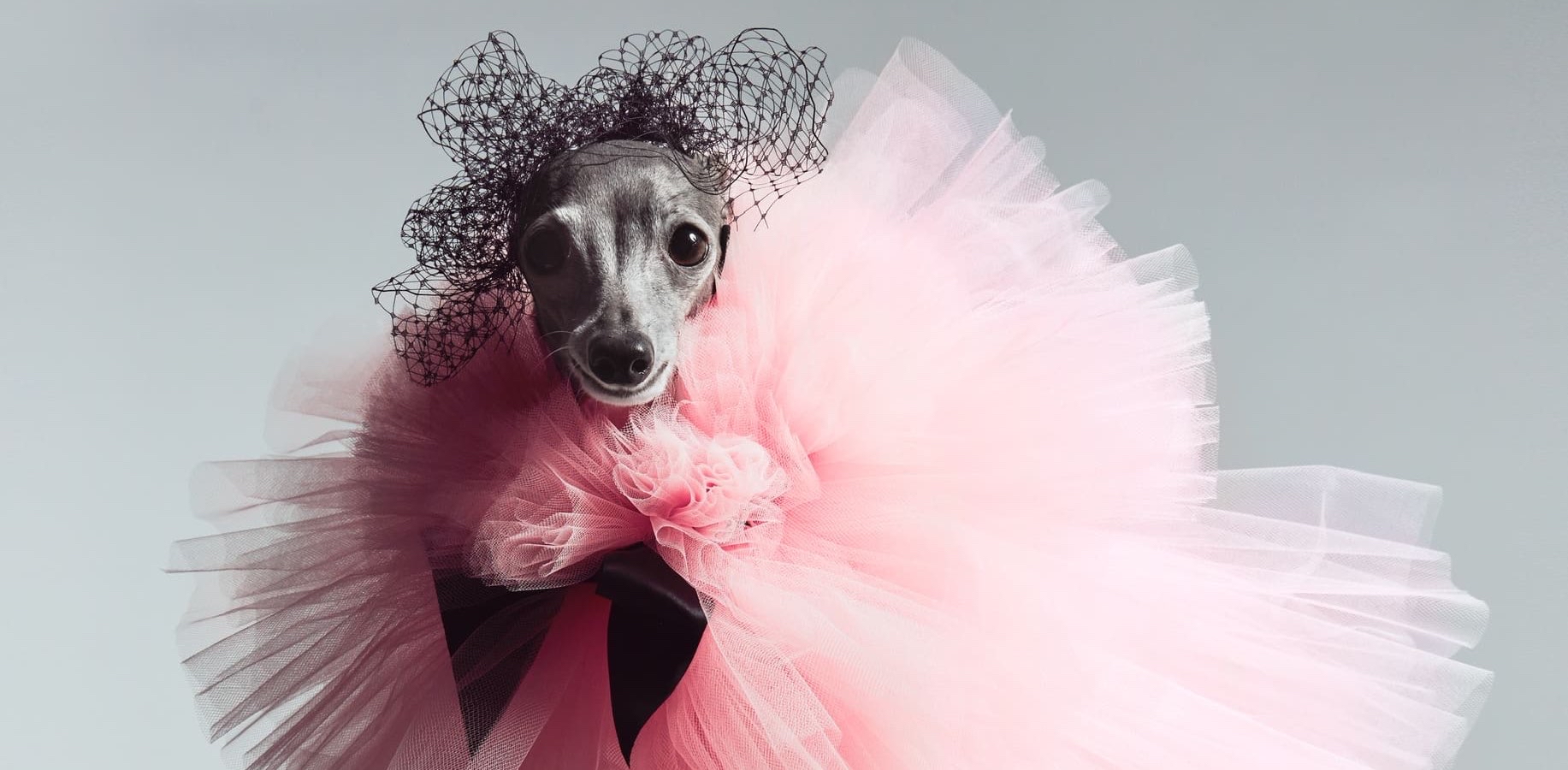 challenge background