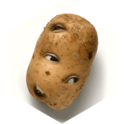 challenge badge