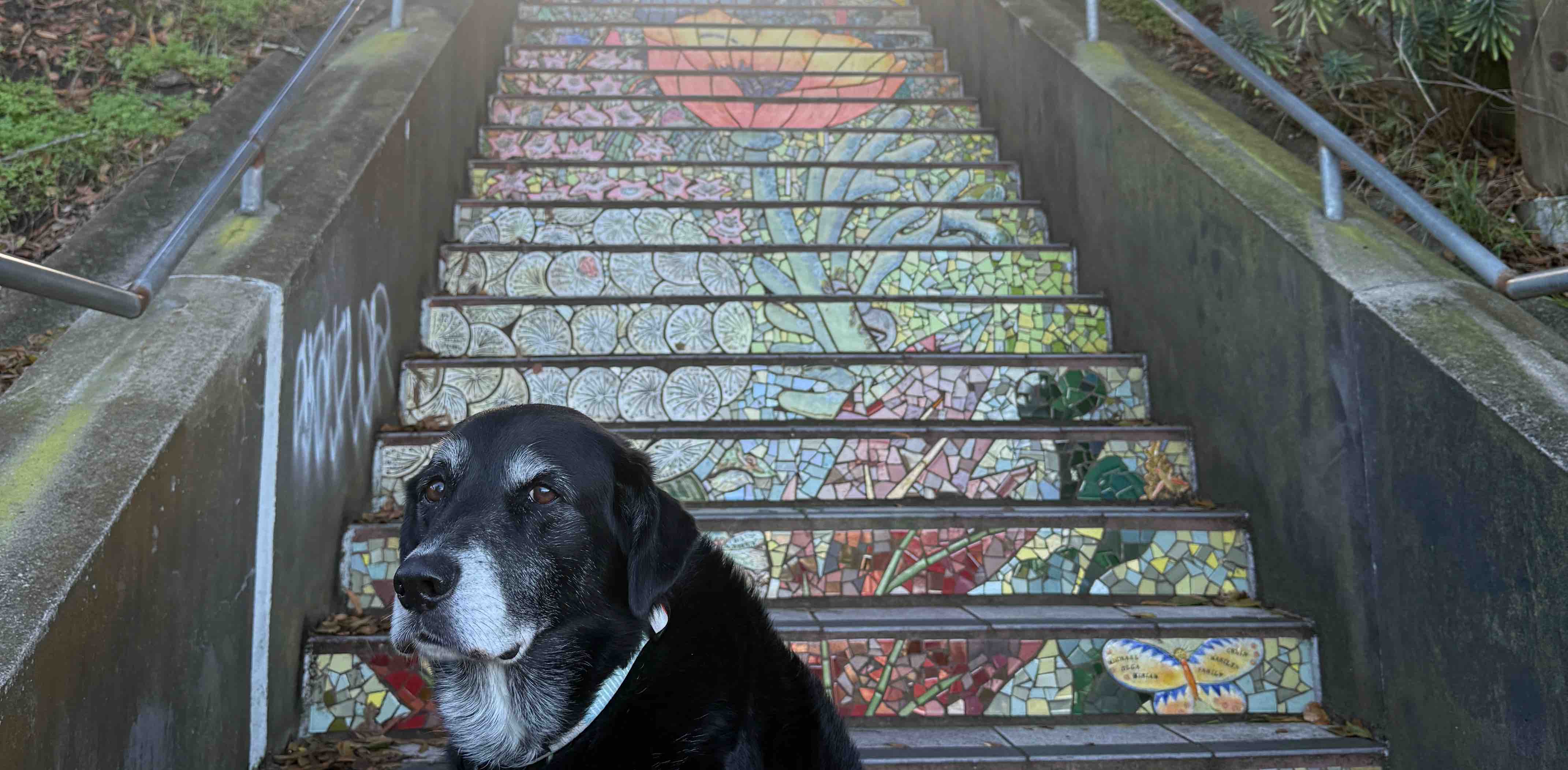 challenge background