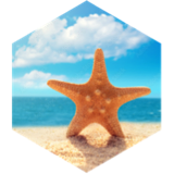 challenge badge