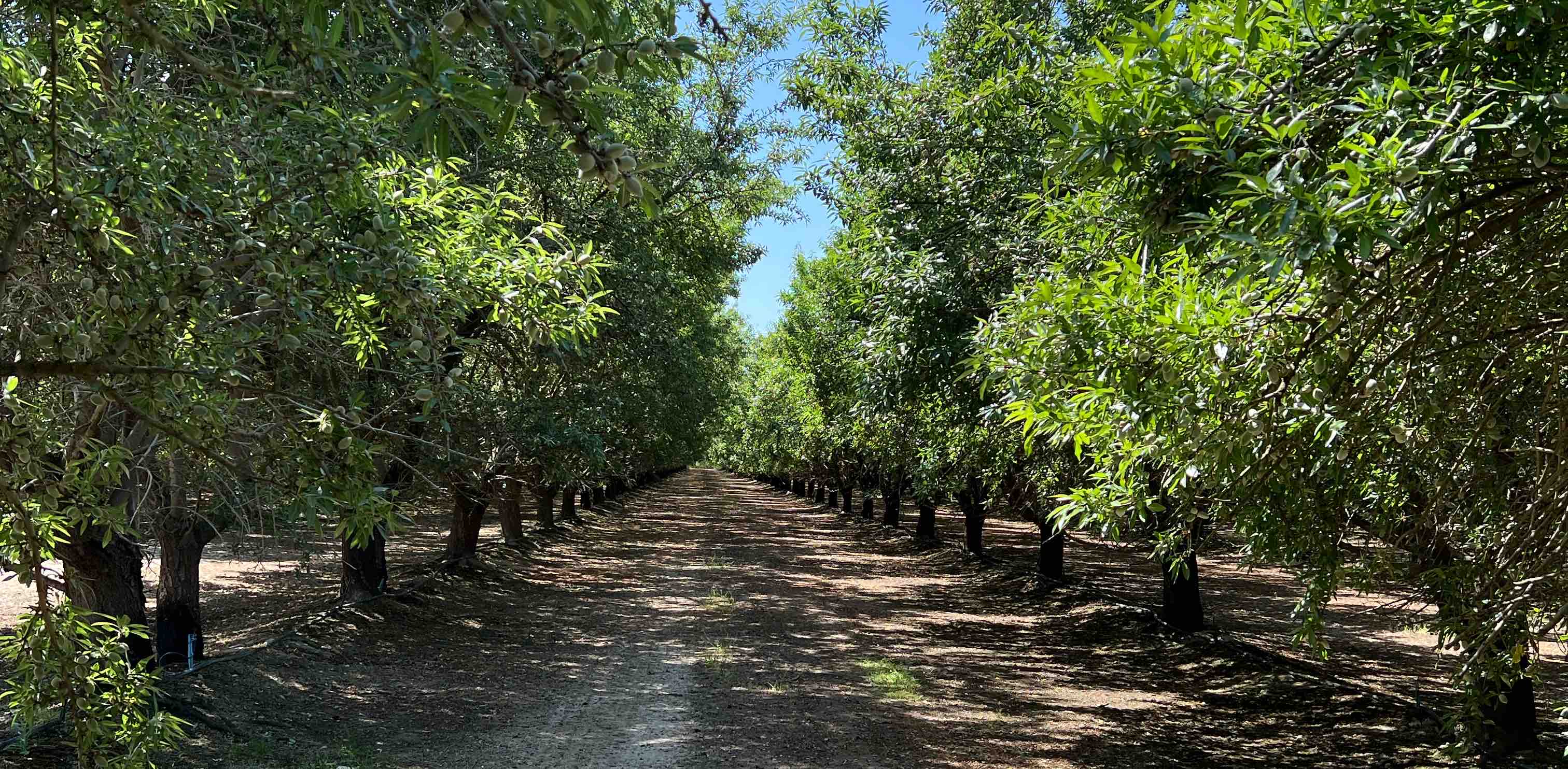 challenge background