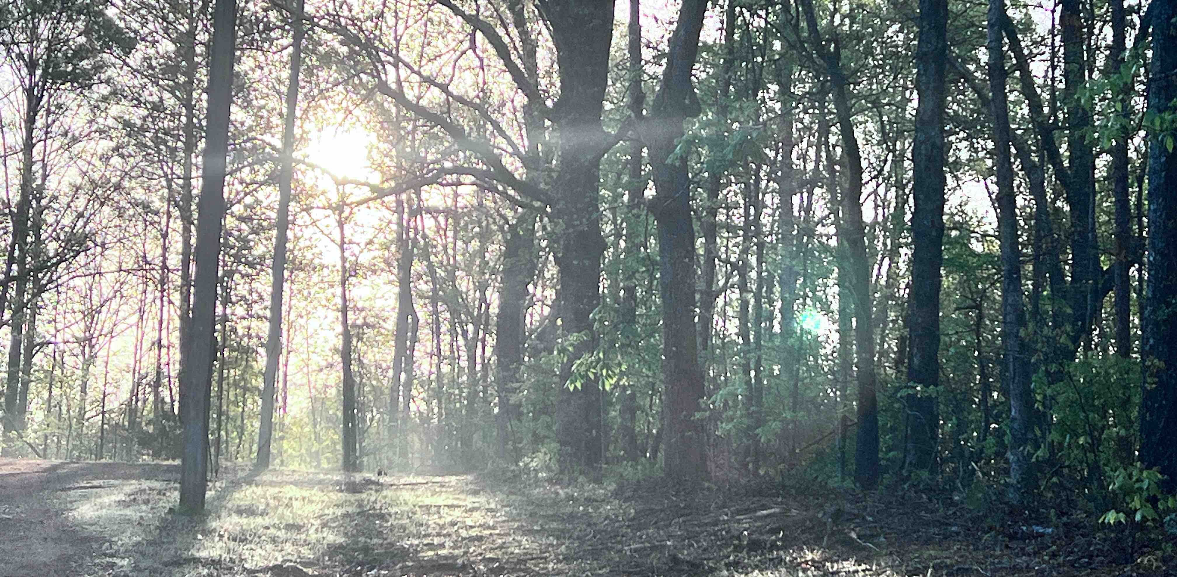 challenge background