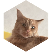 challenge badge