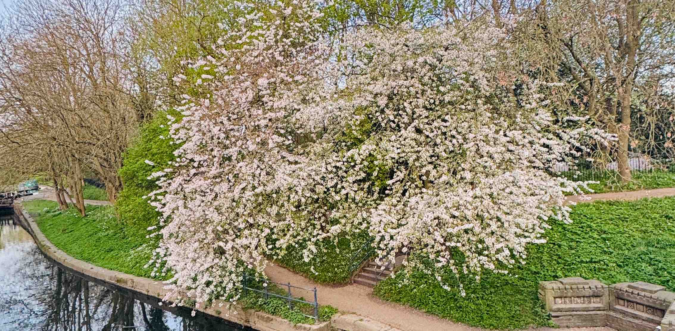 challenge background