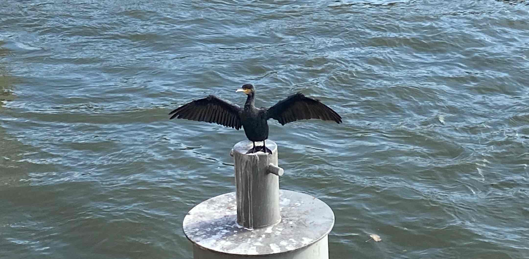 challenge background