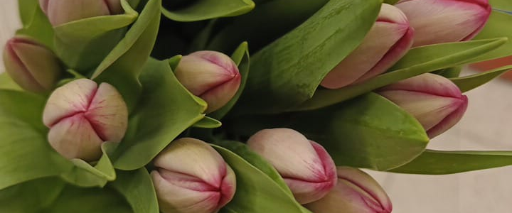 challenge background