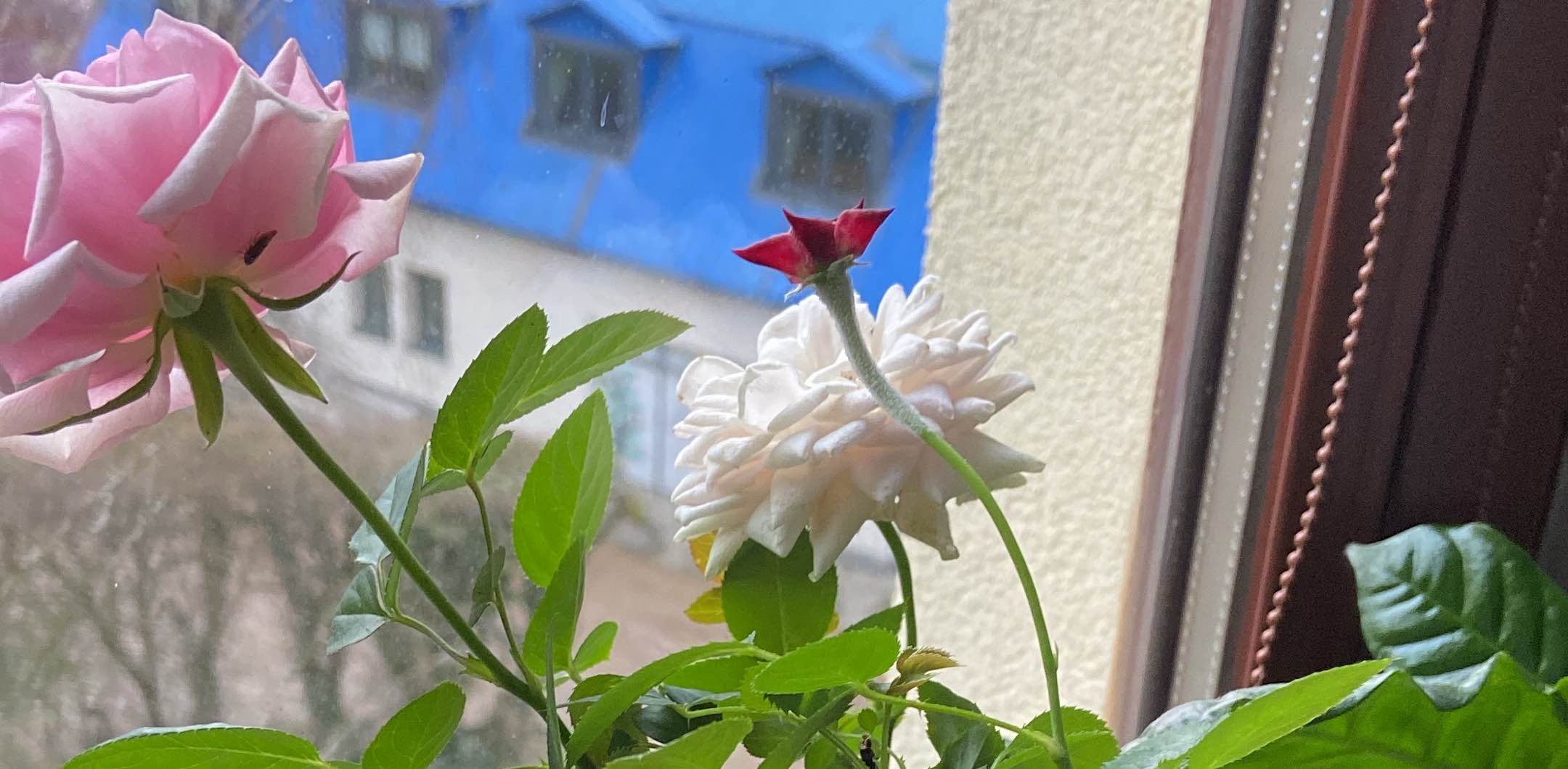 challenge background