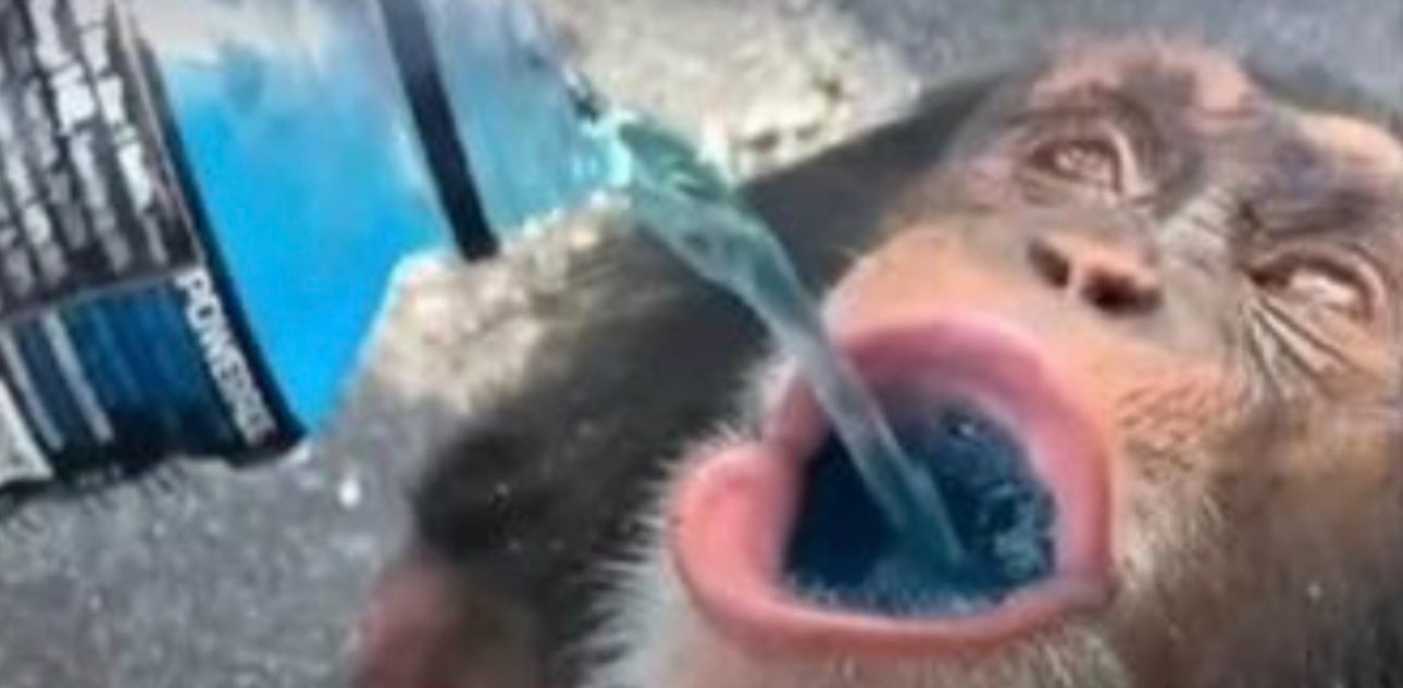 challenge background