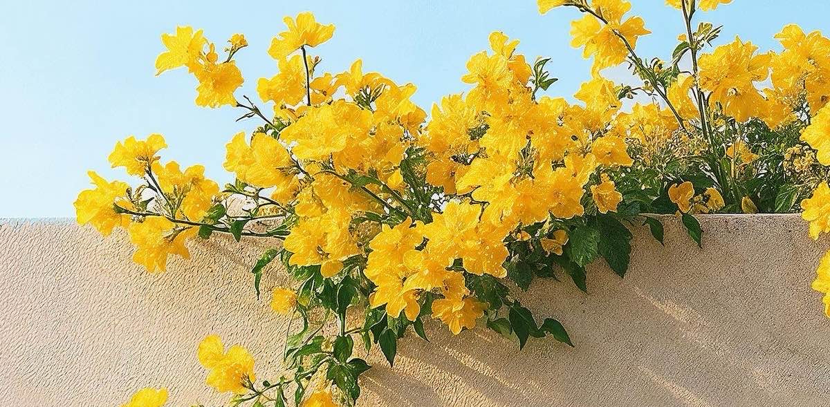 challenge background