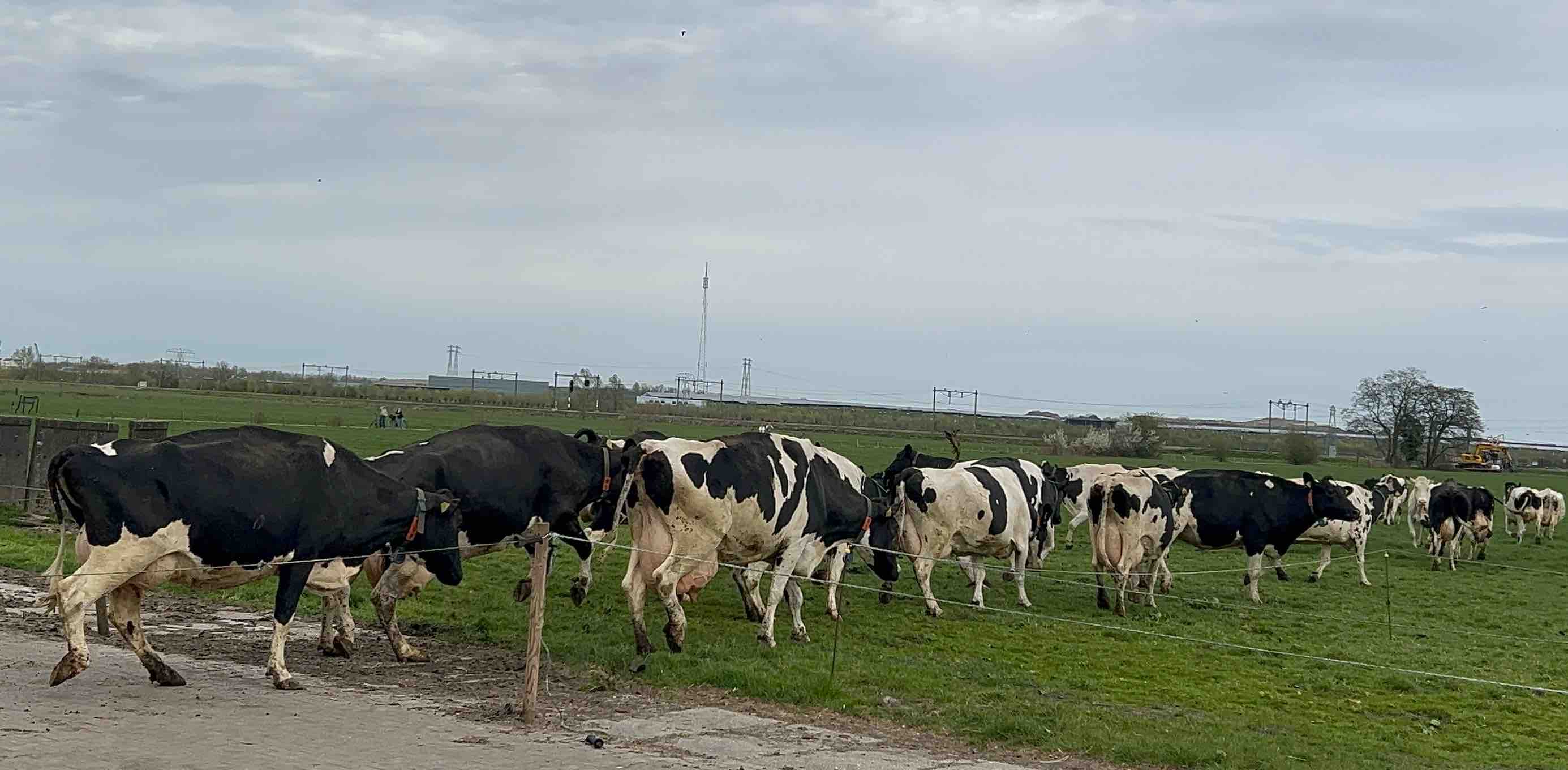 challenge background