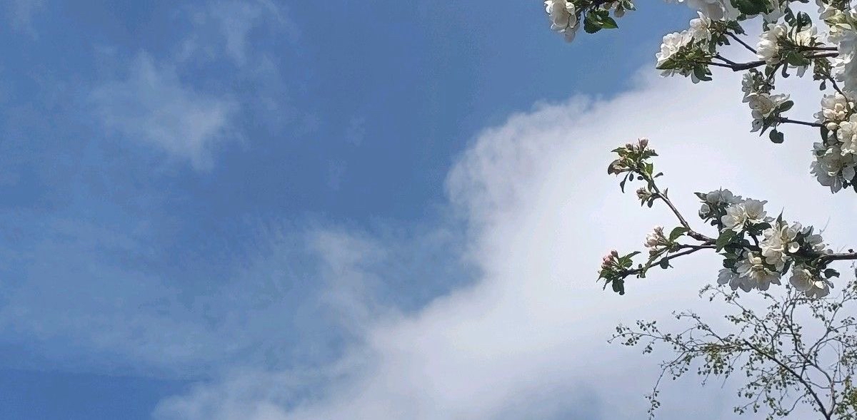 challenge background