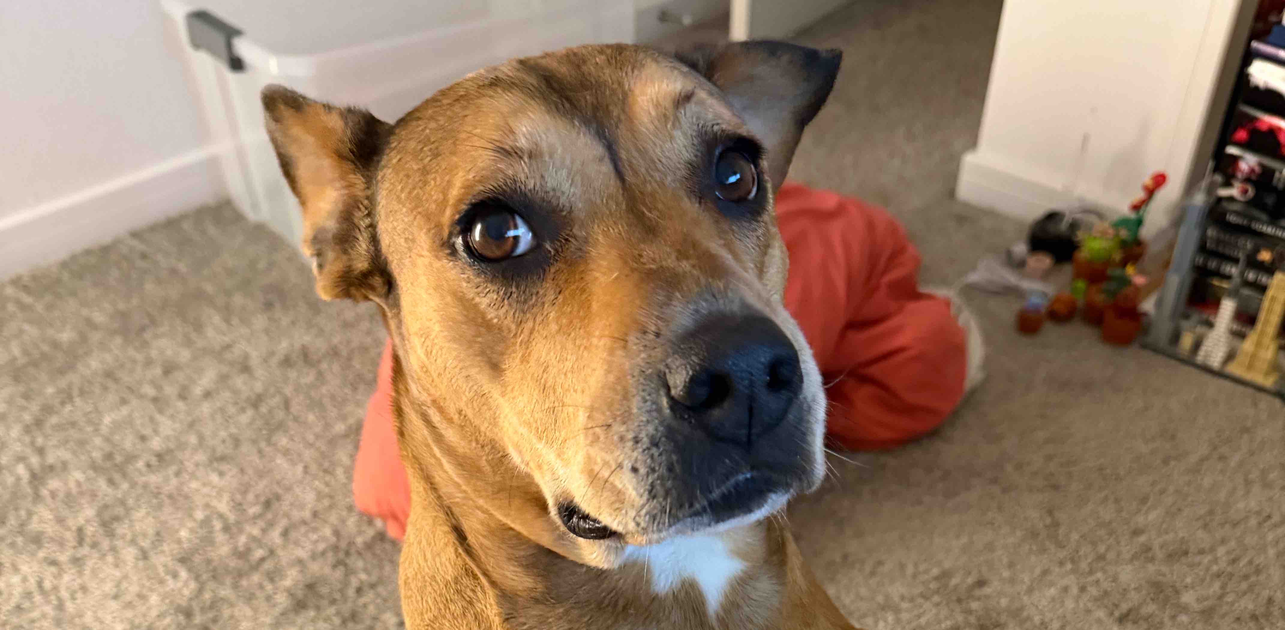 challenge background