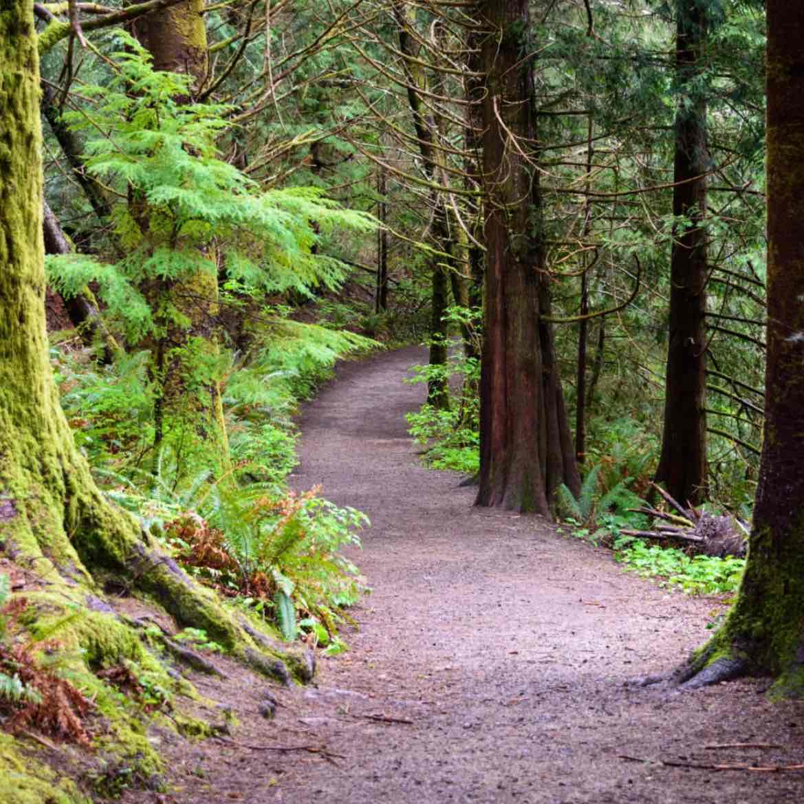 Hustle & Stride logo