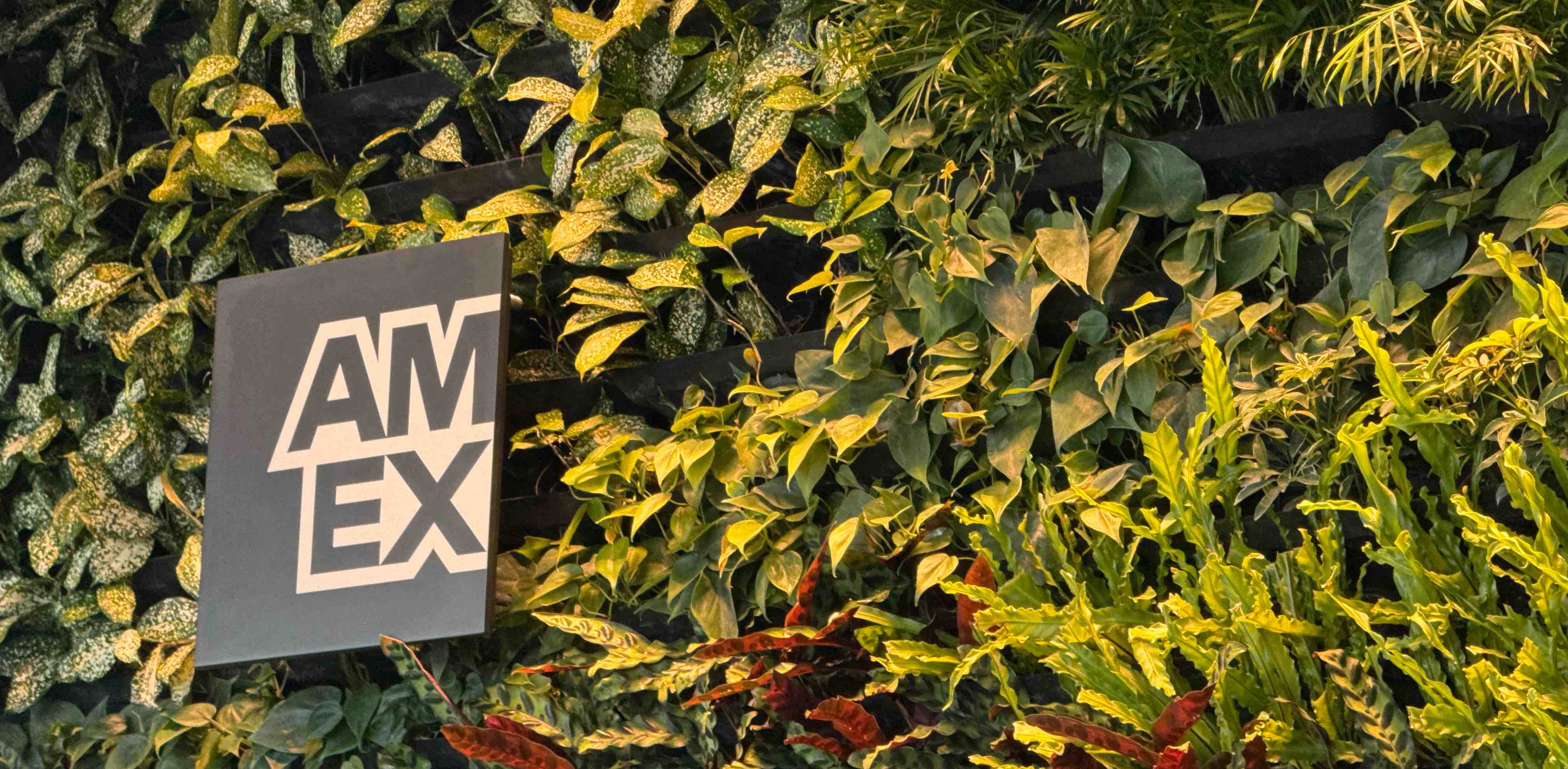 challenge background