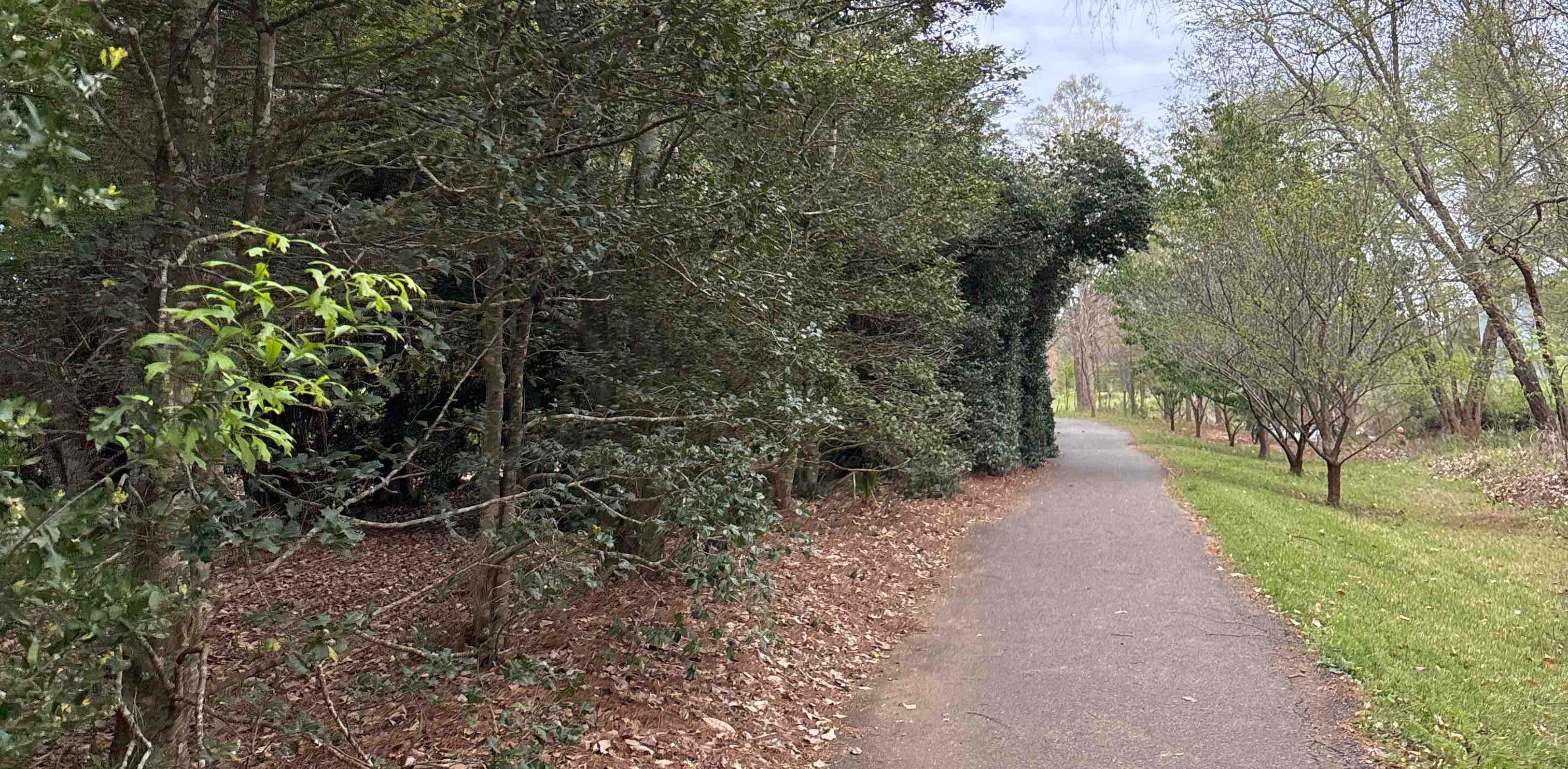 challenge background