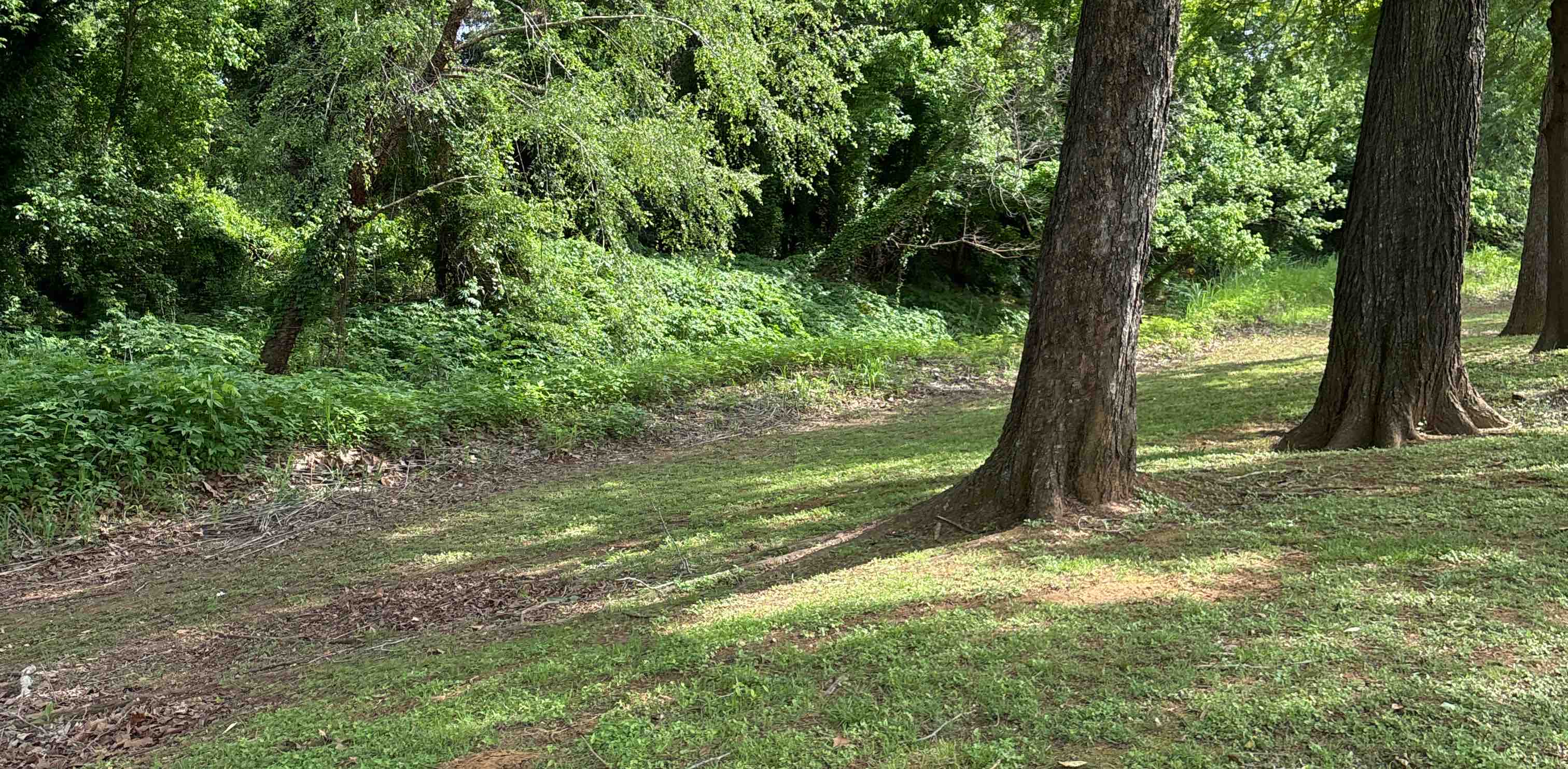 challenge background