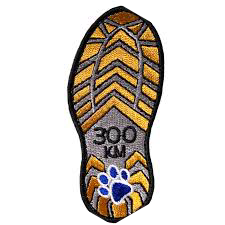 challenge badge
