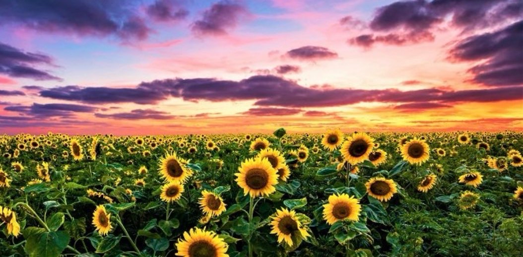 challenge background