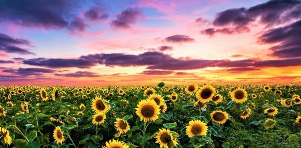 challenge background