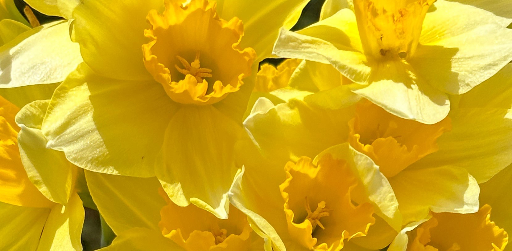 challenge background