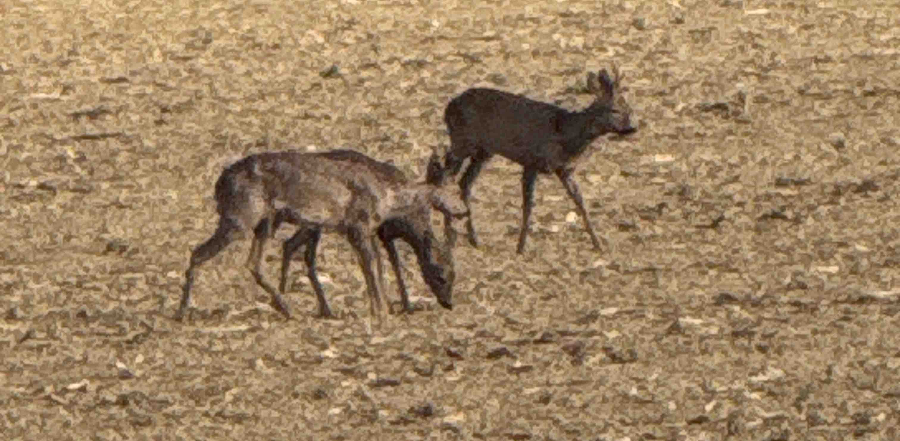 challenge background