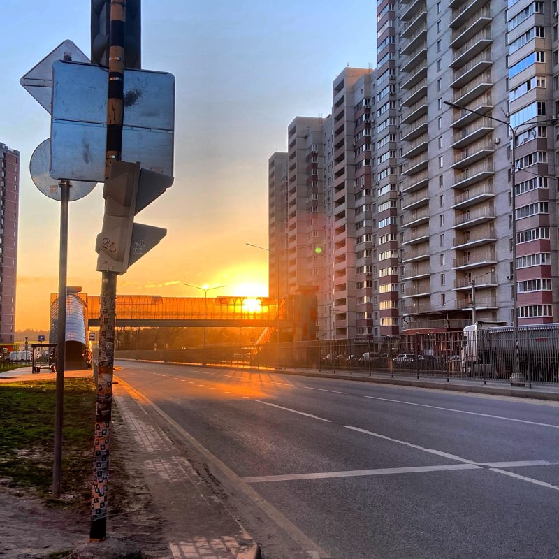 Walks and tea ✨ logo