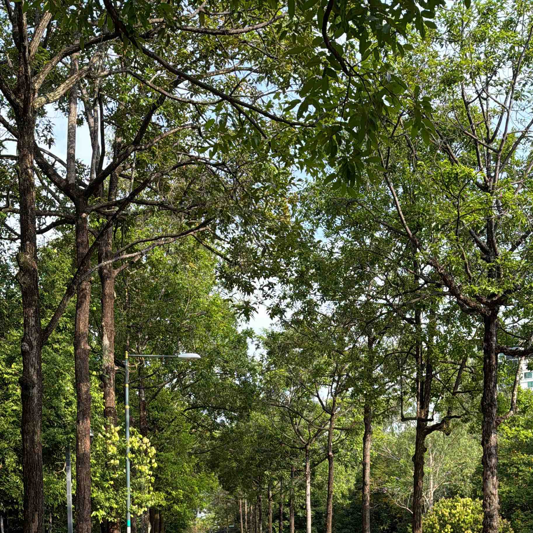 Positive stay healthy logo