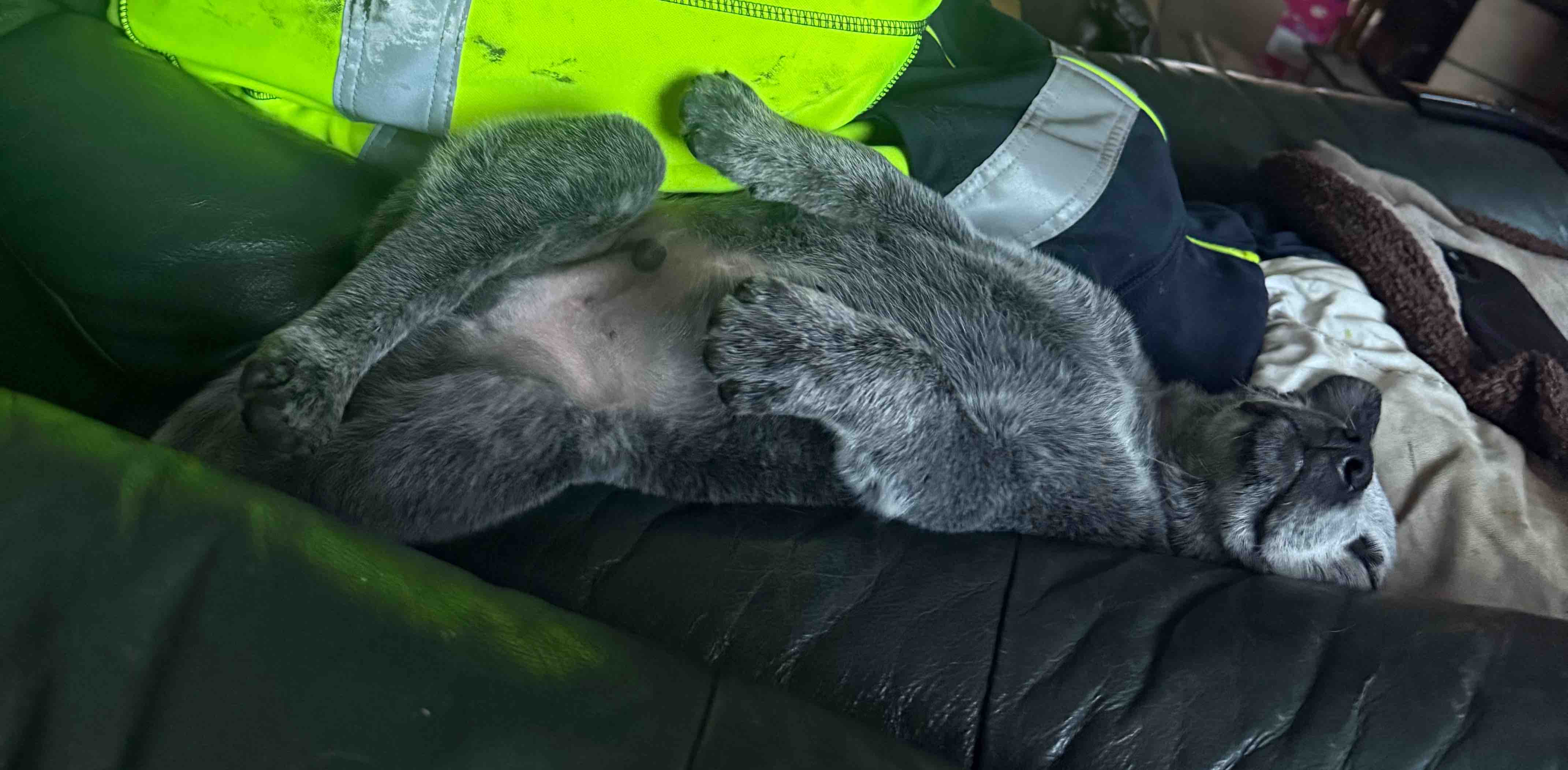 challenge background