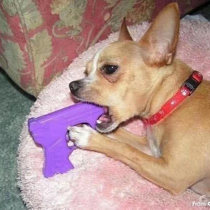 never stable but it’s okay <3 logo