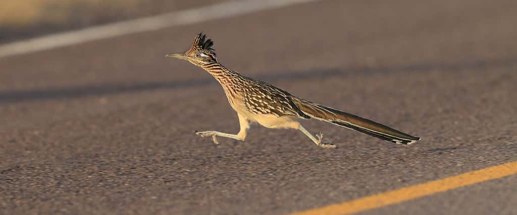 challenge background