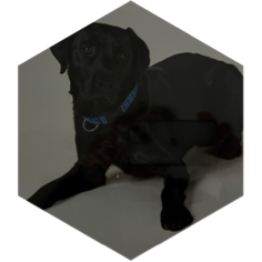 challenge badge