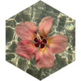 challenge badge