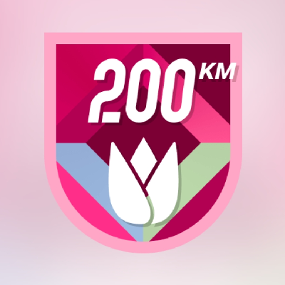 challenge badge