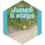 June 6 k icon