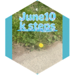 June ten k steps a day icon