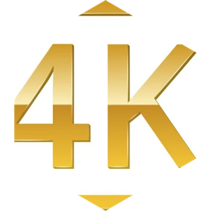 challenge badge